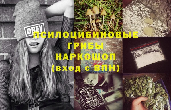 стаф Алексеевка
