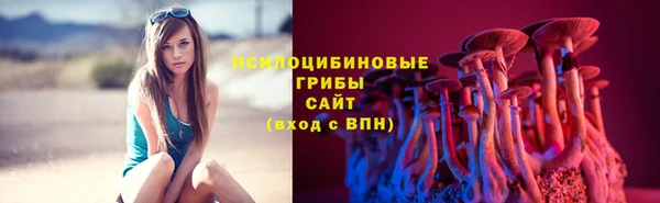 не бодяженный Алексин