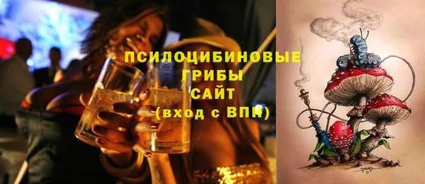не бодяженный Алексин