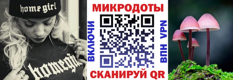 сколько стоит  Константиновск  Галлюциногенные грибы Psilocybine cubensis 